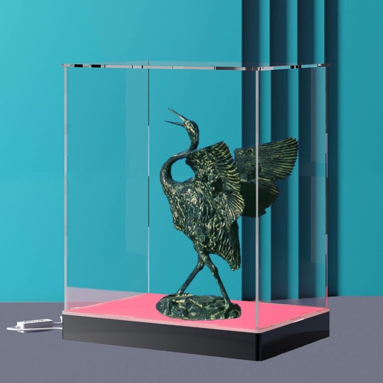 Clear Acrylic Display Case Review