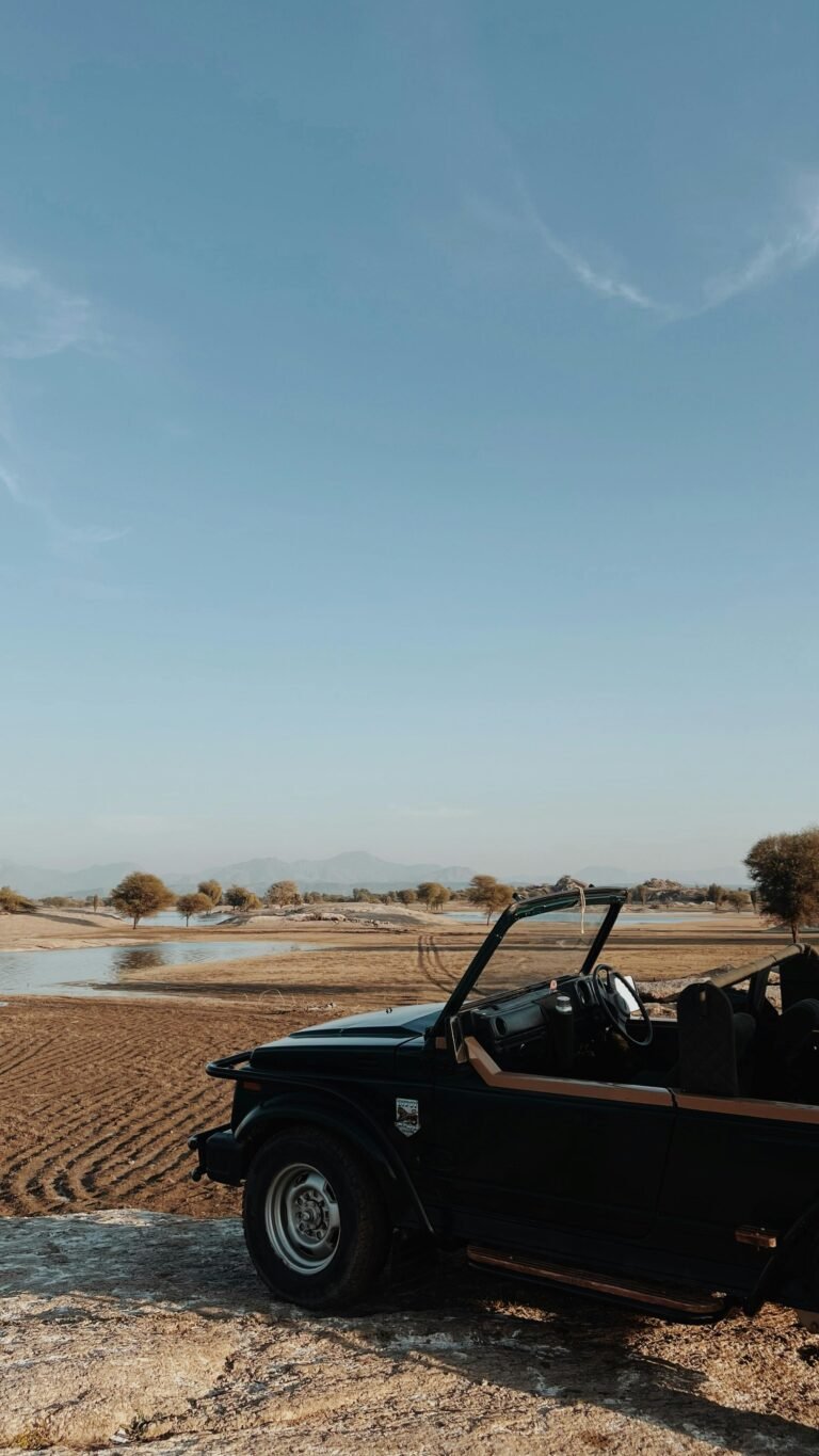 New Ray Toys – Can-AM Maverick X3 Review