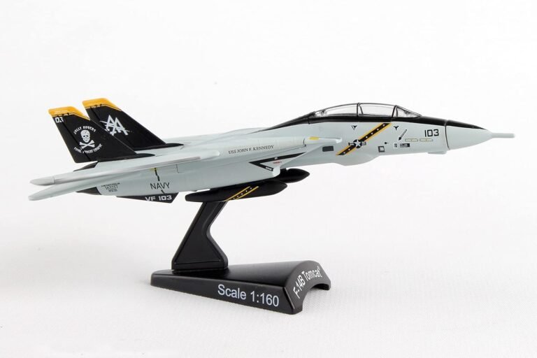 Daron F-14 Tomcat Jolly Rogers Review