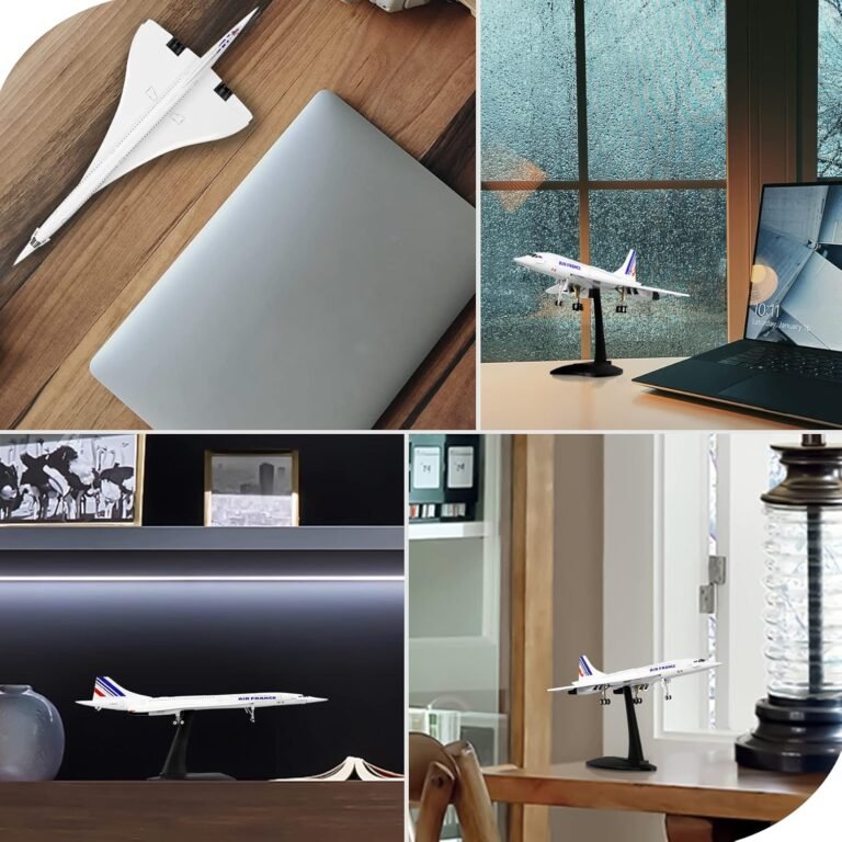 Lose Fun Park Concorde Plane Model Review